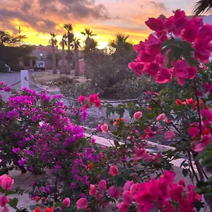 https://villa-alfredo-marchetti-suites-on-the-beach-praia-de.cape-verdehotels.com